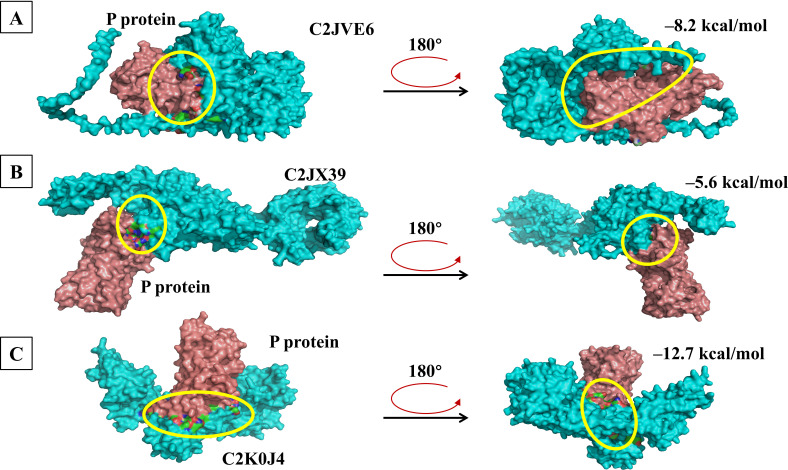 Figure 6