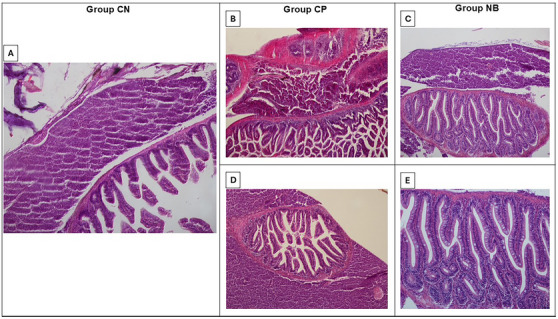 Figure 7