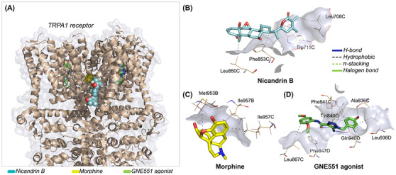 Figure 13