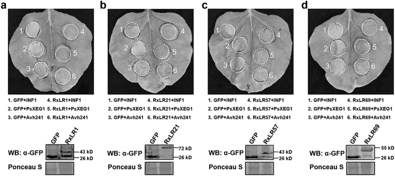 Figure 10