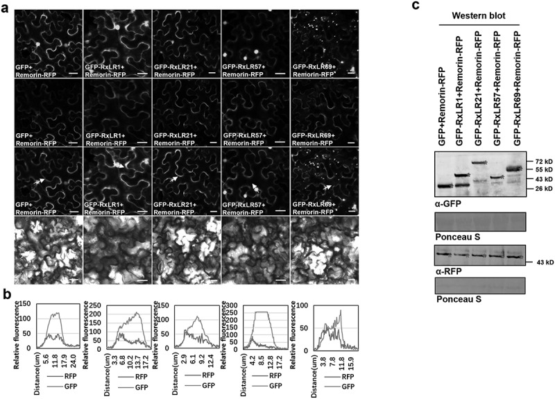 Figure 14