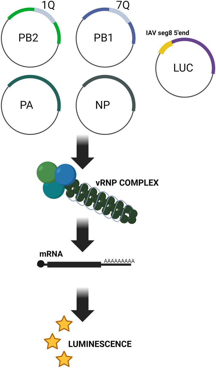 Figure 14