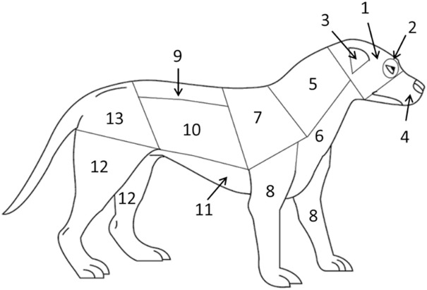 Figure 2