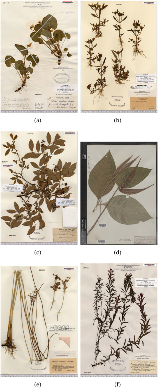 Figure 17
