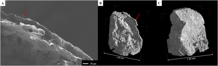 Figure 9