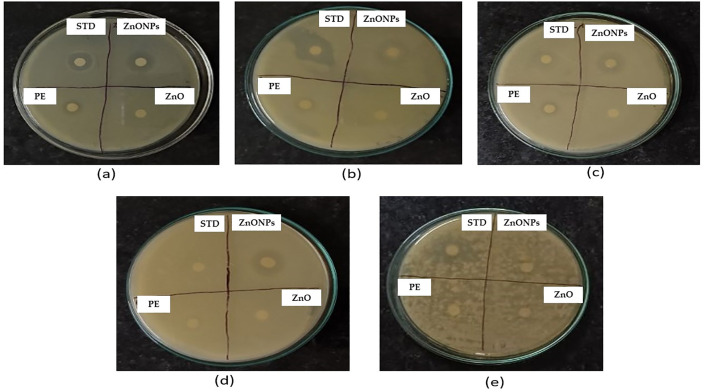 Figure 13