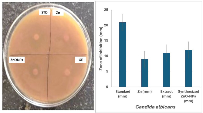 Figure 14