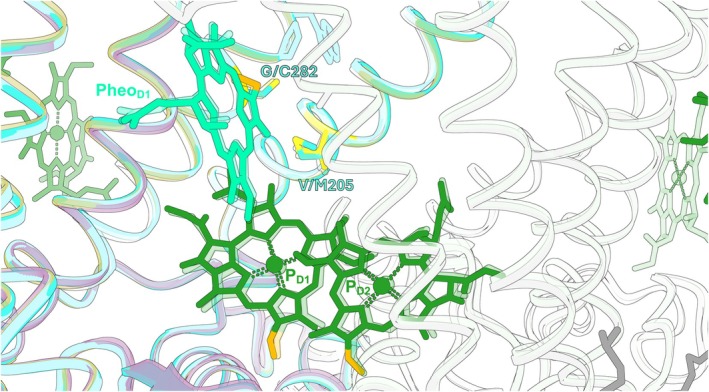 Figure 9