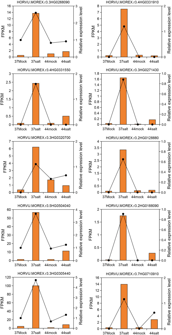 Figure 6