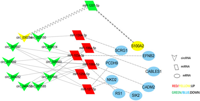 Figure 7