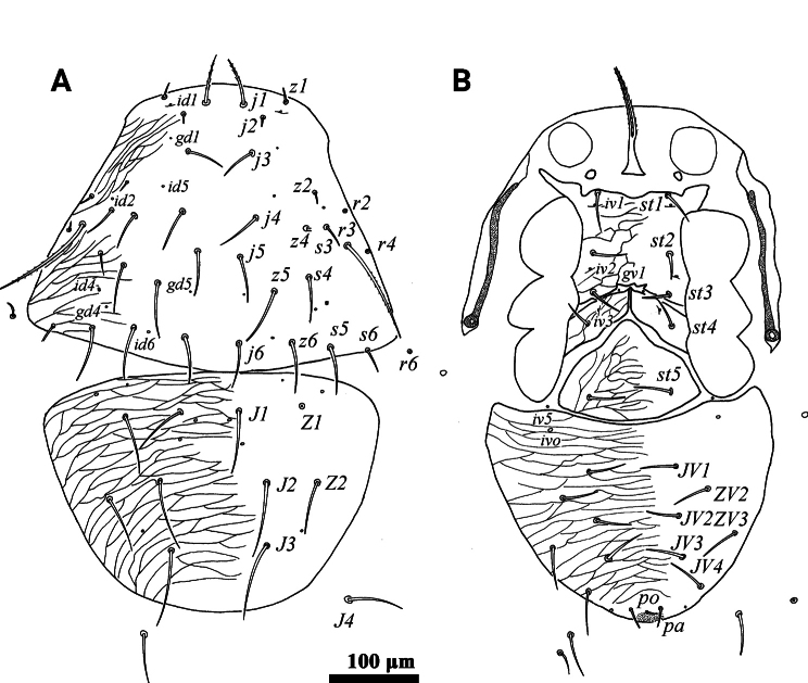 Figure 9