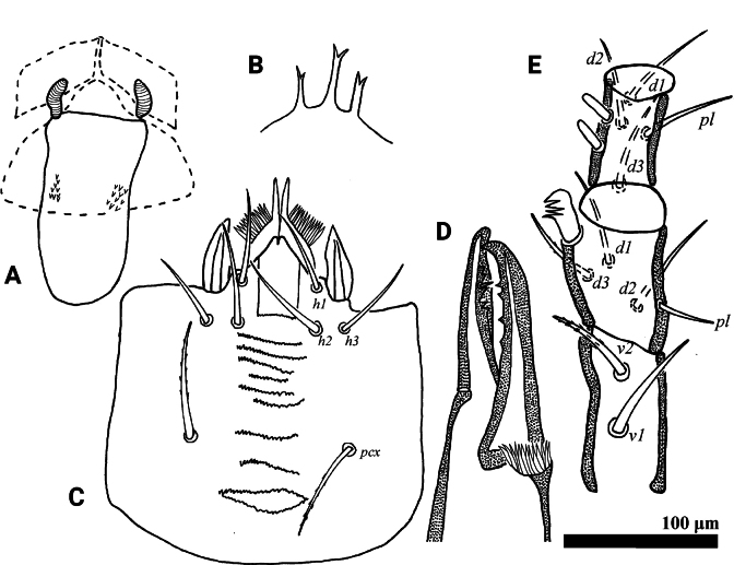 Figure 10