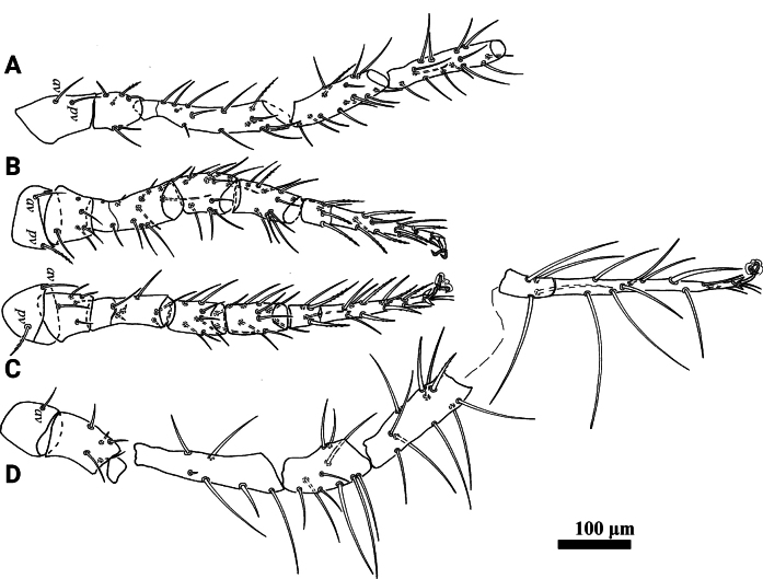 Figure 11