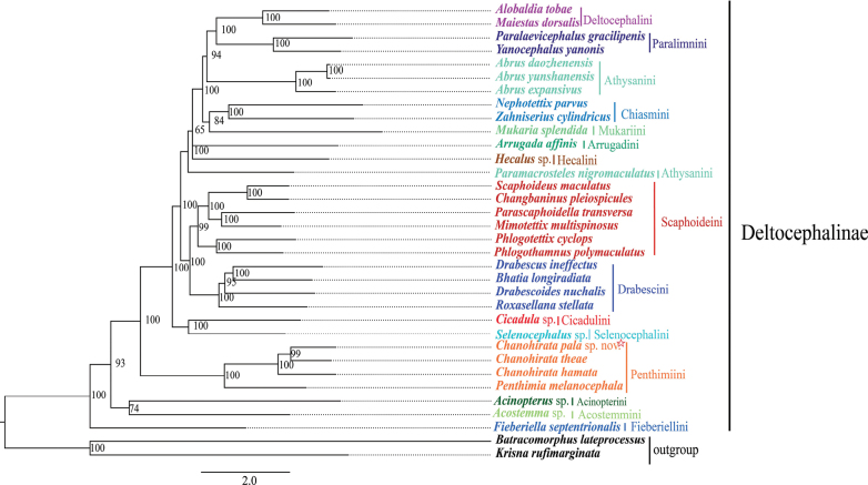 Figure 6