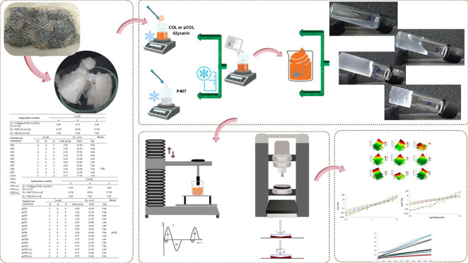 Figure 19