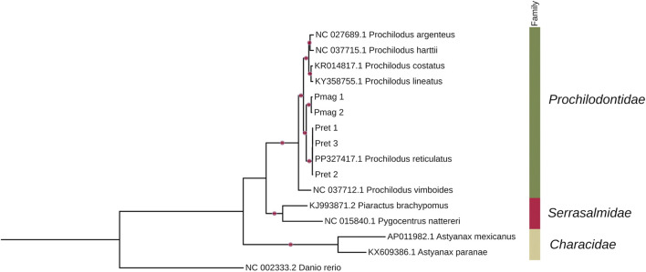 Figure 5
