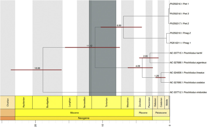 Figure 6