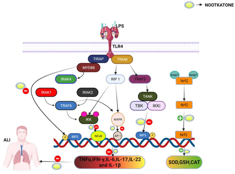 Figure 11