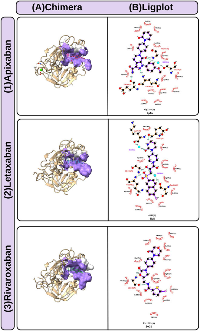 Figure 10