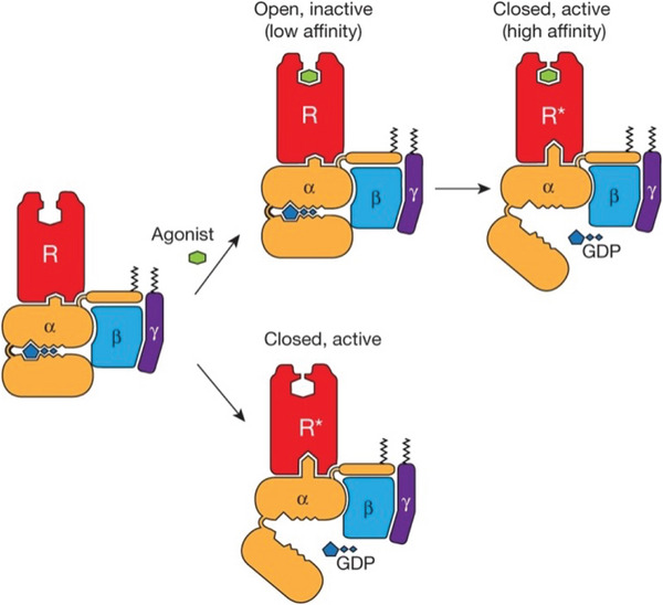Figure 14