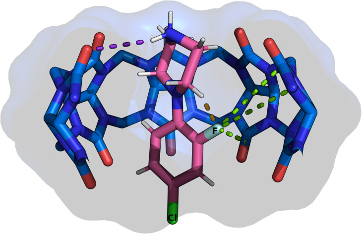 Figure 11