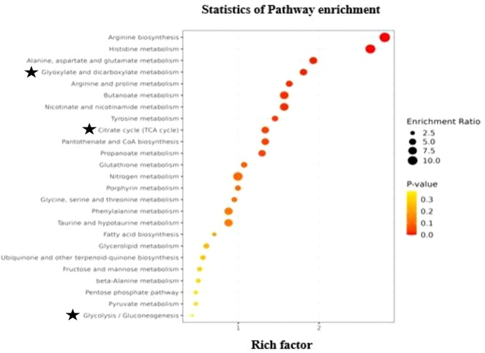 Figure 5