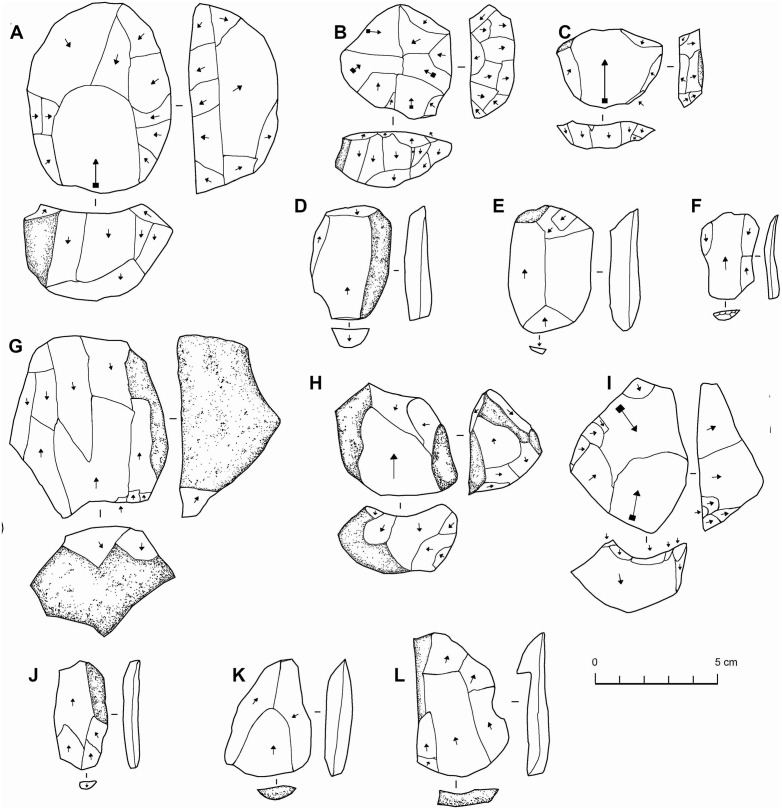 Fig 12