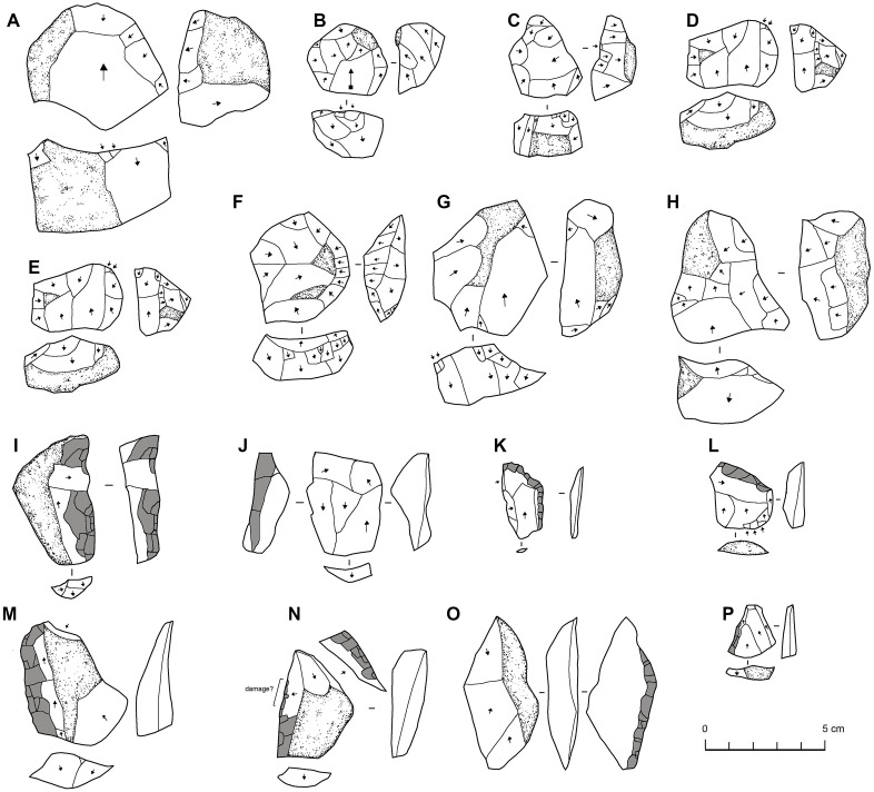 Fig 13