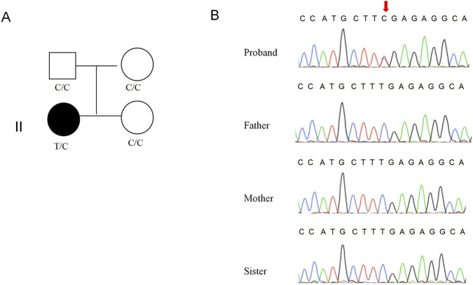 FIGURE 1