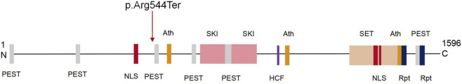 FIGURE 3