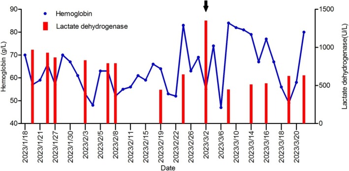 FIGURE 3