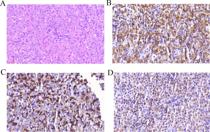 FIGURE 2
