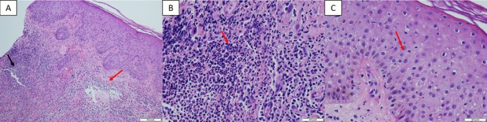 FIGURE 2