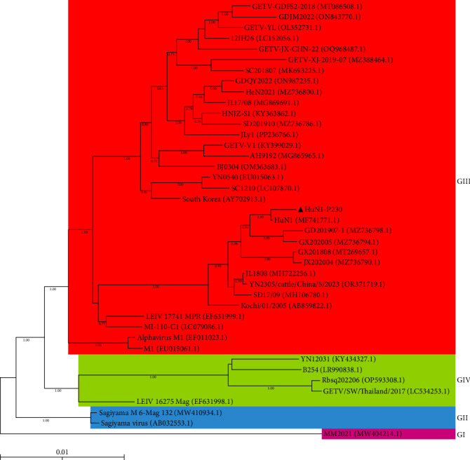 Figure 4