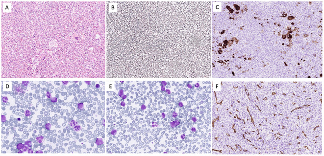Figure 1