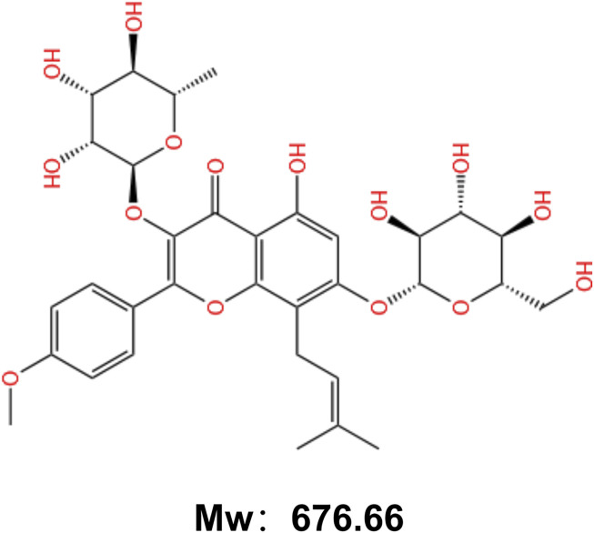 FIGURE 1