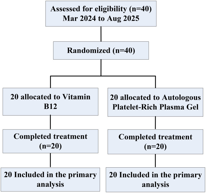 Figure 1