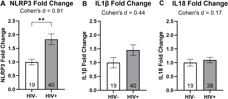 Figure 2