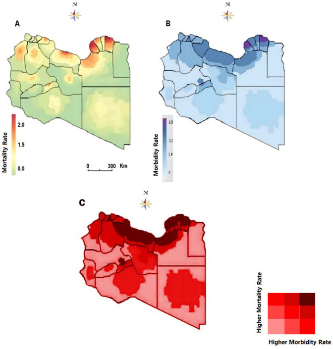 Figure 3