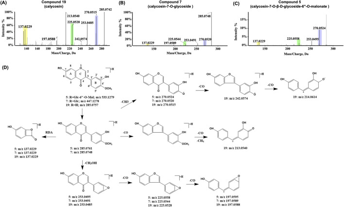 FIGURE 4