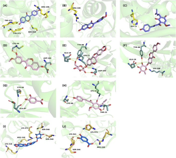 FIGURE 10