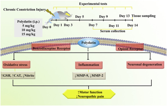 FIGURE 11
