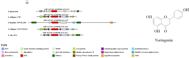 Figure 13