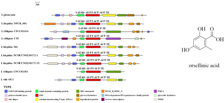 Figure 16