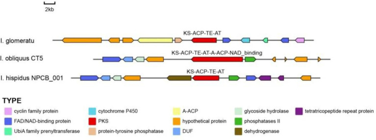 Figure 19