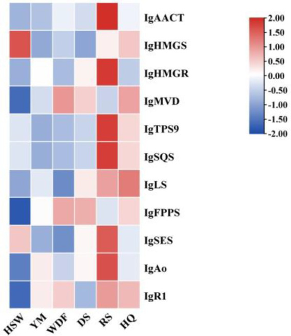 Figure 20