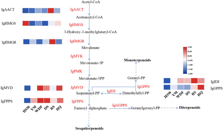 Figure 21