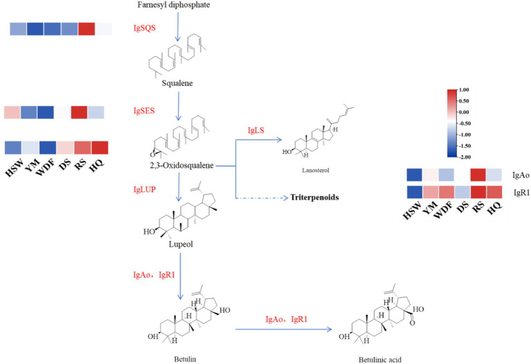 Figure 22