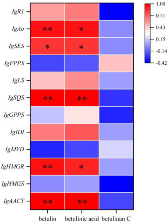 Figure 23