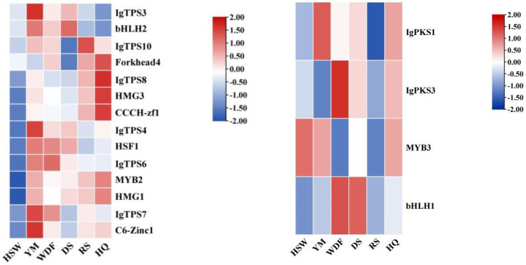 Figure 25